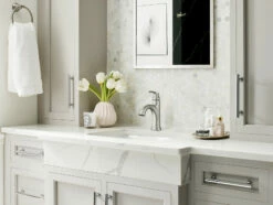 Wellton™ One-Handle Centerset Spot Resist™ Brushed Nickel