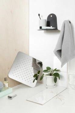 Moen Chrome One-Function 12" Diameter Spray Head Rainshower -Hot Sale Moen Store FlatThinShowerhead V 6622 Edit.jpg