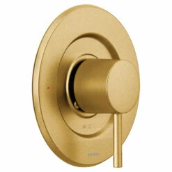 Align Brushed Gold Moentrol® Valve Trim