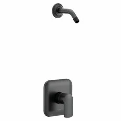 Rizon Matte Black M-CORE 2-Series Shower Only - No Head