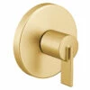 Cia Brushed Gold M-CORE Transfer Vertical Spa -Hot Sale Moen Store ut4620bg.tif